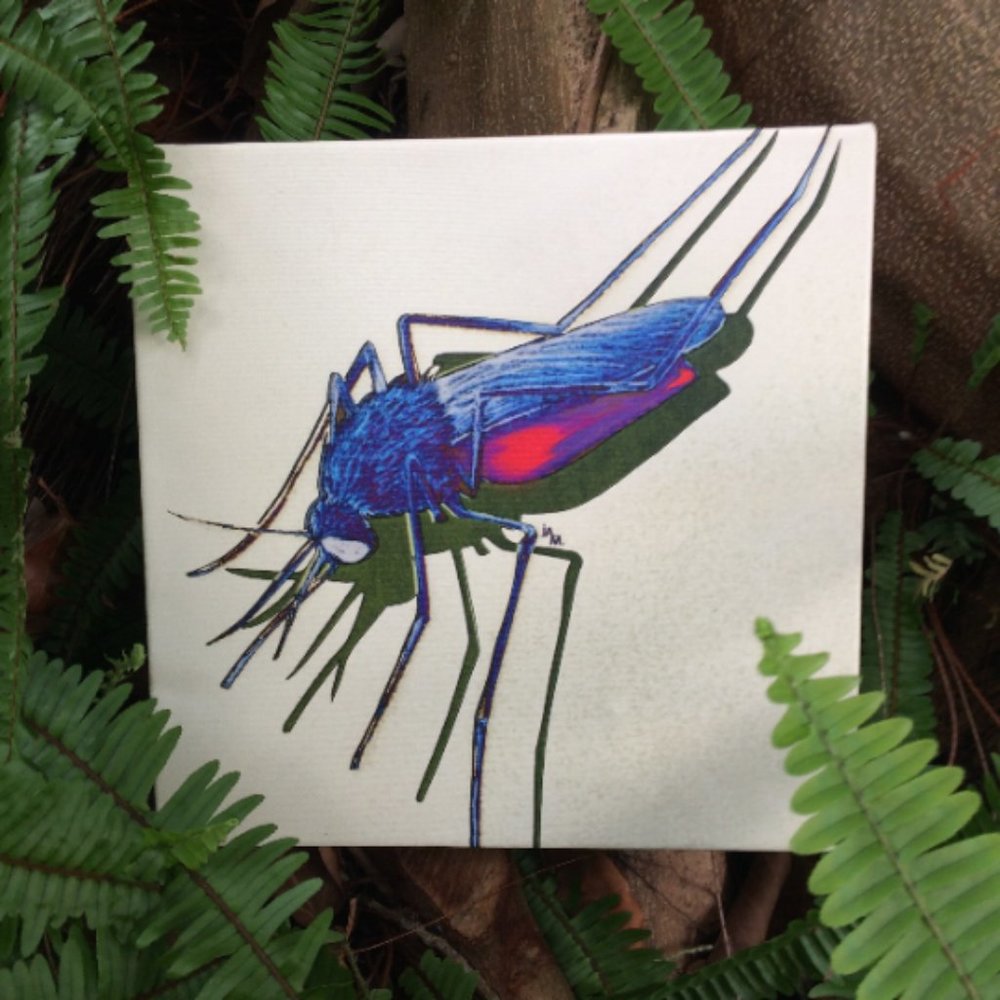 Mosquito - Original Wall Art print on 12 x 12 canvas - Picture 6 of 6